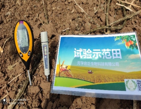 西安市鄠邑区户县葡萄示范基地